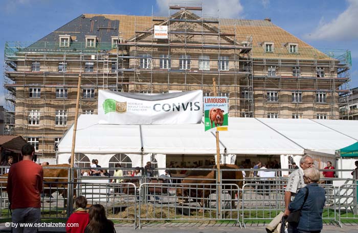 fetedelaviande20070915028