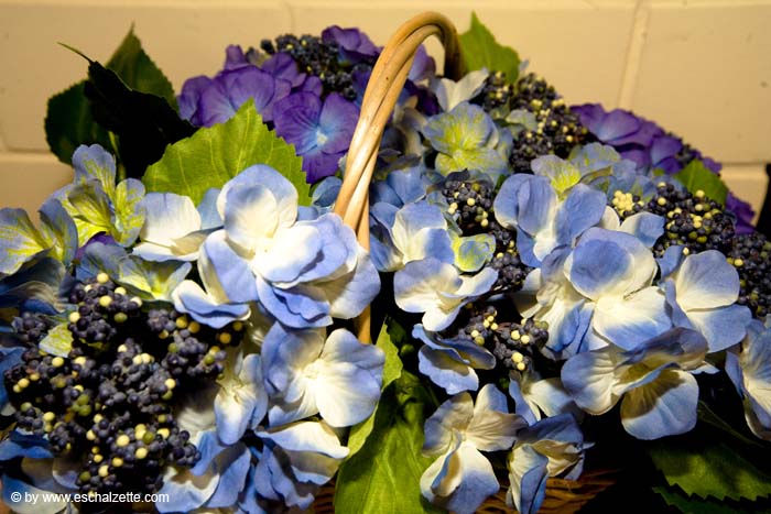 eschersenioren06boudin20070831017