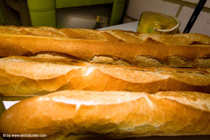 eschersenioren06boudin20070831029