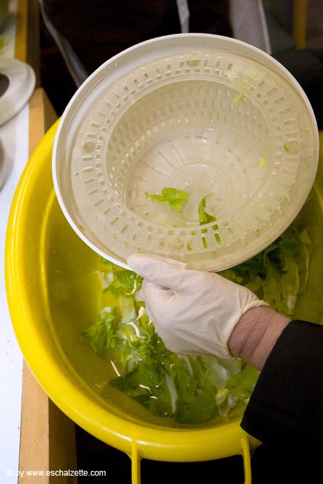 eschersenioren06boudin20070831047