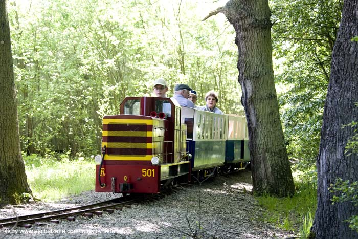 20080525eisenbunnlankelzcfl071