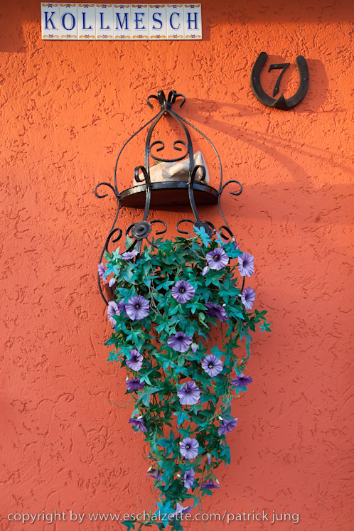 20091003_interesseverain_citeverte_30ans_049