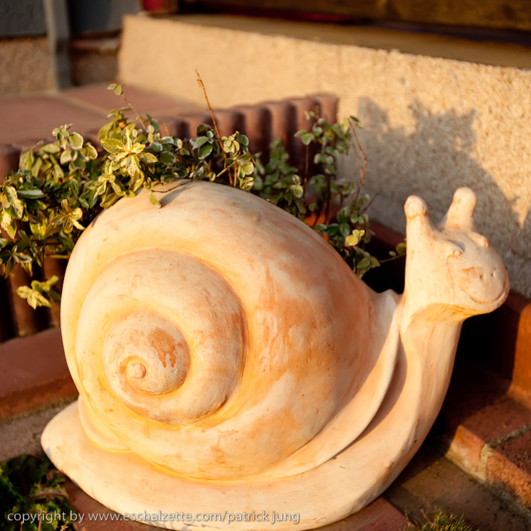 20091003_interesseverain_citeverte_30ans_063