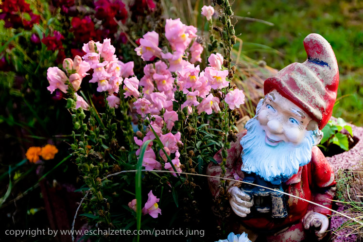 20091003_interesseverain_citeverte_30ans_067