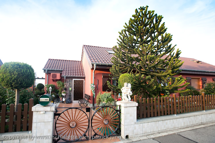 20091003_interesseverain_citeverte_30ans_102