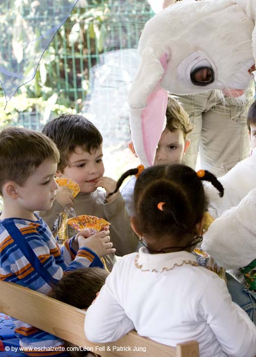 20080319interesslallengostereier007