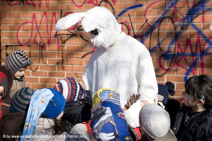 20080319interesslallengostereier024