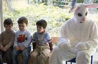 20080319interesslallengostereier005