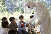 20080319interesslallengostereier006