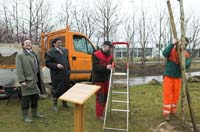 zwally_hinterscheid200603023