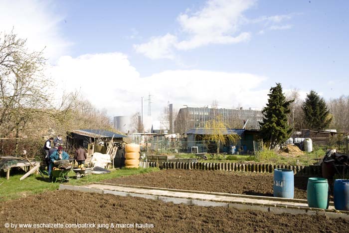 20080406ctfbotzaktioun006