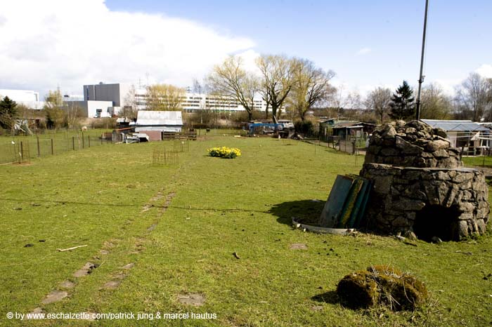 20080406ctfbotzaktioun010