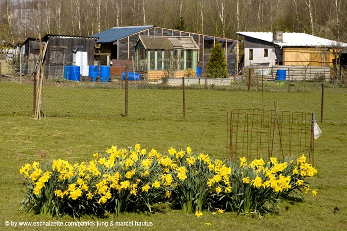 20080406ctfbotzaktioun020