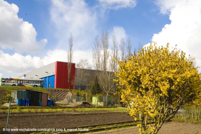 20080406ctfbotzaktioun021