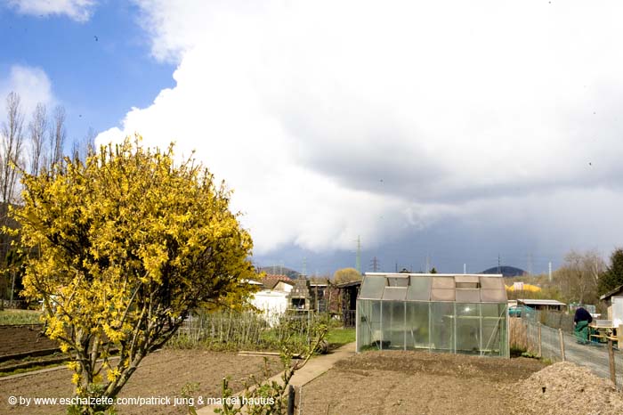 20080406ctfbotzaktioun022