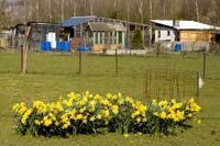 20080406ctfbotzaktioun020