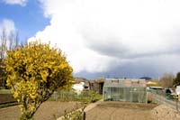 20080406ctfbotzaktioun022