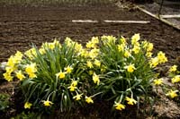 20080406ctfbotzaktioun025