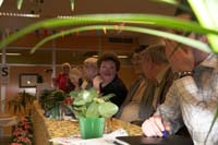 regionalligasued200603084