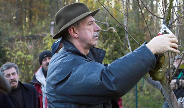 heckenschnitt200511003