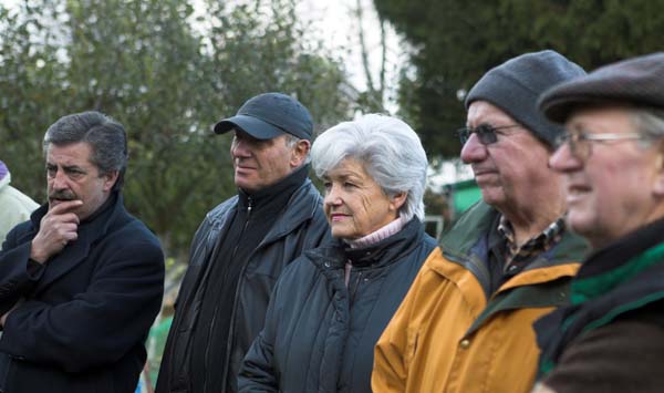 heckenschnitt200511004