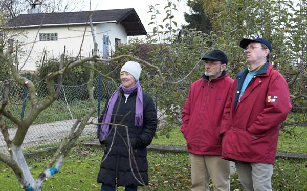 heckenschnitt200511007