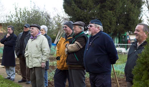 heckenschnitt200511008