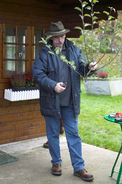 heckenschnitt200511014