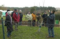 heckenschnitt200511009