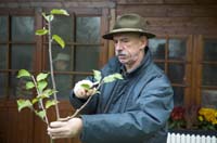 heckenschnitt200511011