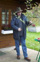 heckenschnitt200511014