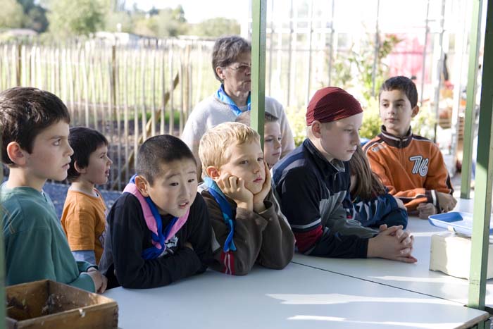 vizsauerkraut200610009