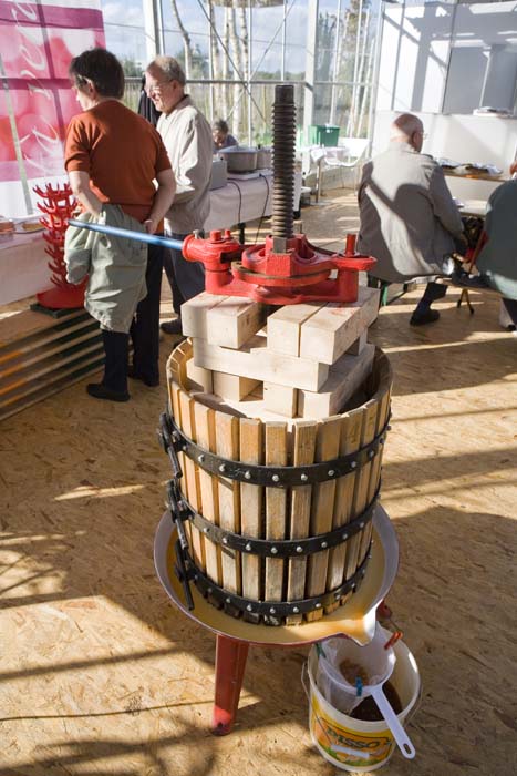 vizsauerkraut200610013