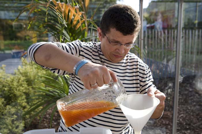 vizsauerkraut200610020