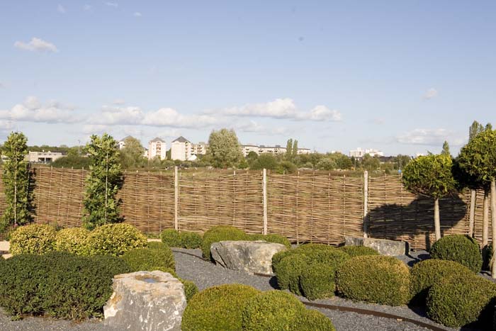 vizsauerkraut200610024