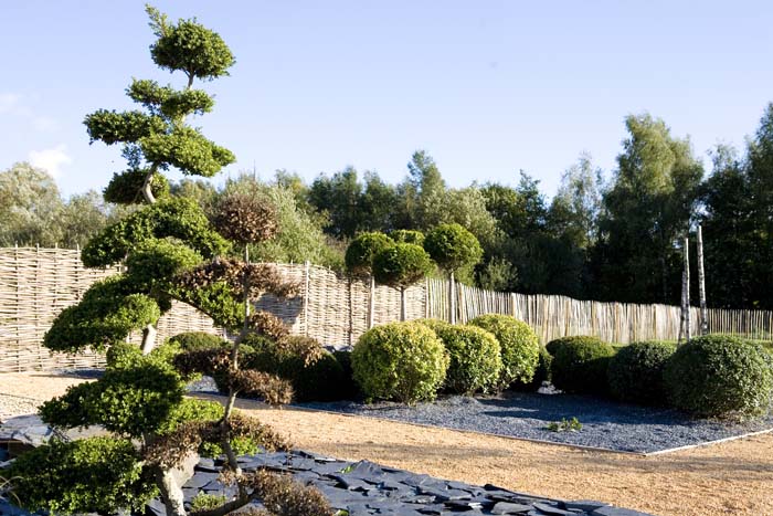 vizsauerkraut200610026