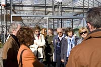 vizsauerkraut200610002