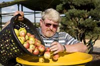 vizsauerkraut200610006