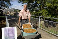 vizsauerkraut200610008