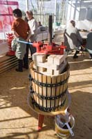 vizsauerkraut200610013