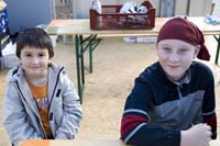 vizsauerkraut200610016