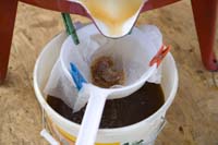 vizsauerkraut200610019