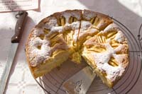 vizsauerkraut200610021