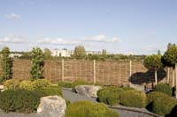 vizsauerkraut200610024