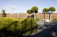 vizsauerkraut200610027