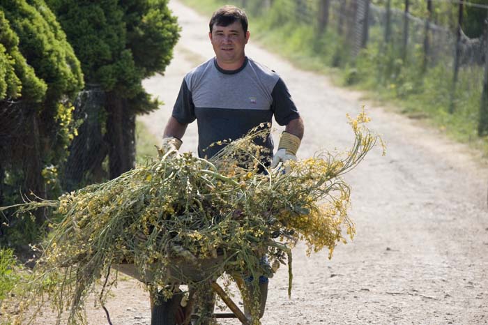 nettoyageelsebrich200704012