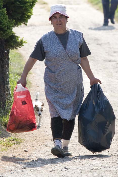 nettoyageelsebrich200704013