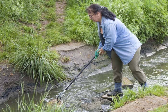 nettoyageelsebrich200704019