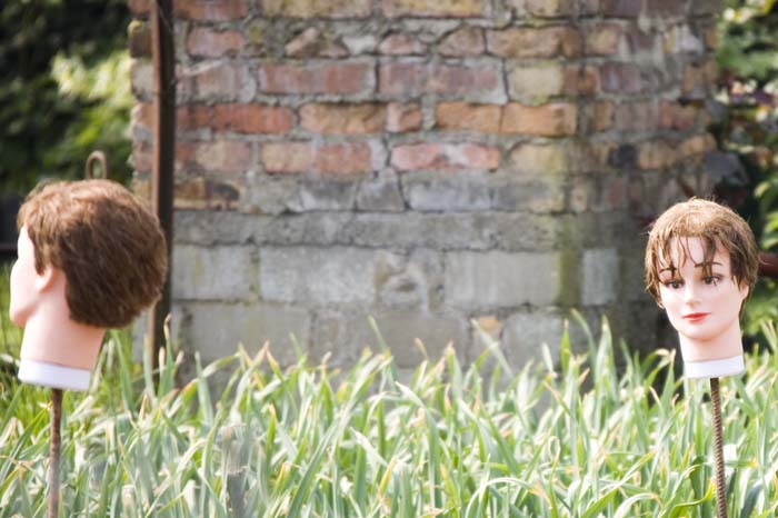 nettoyageelsebrich200704025