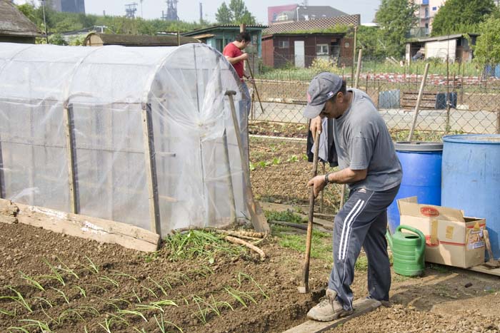 nettoyageelsebrich200704027